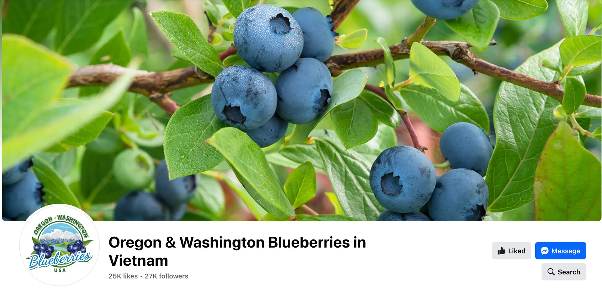 Oregon & Washington Blueberries in Vietnam 