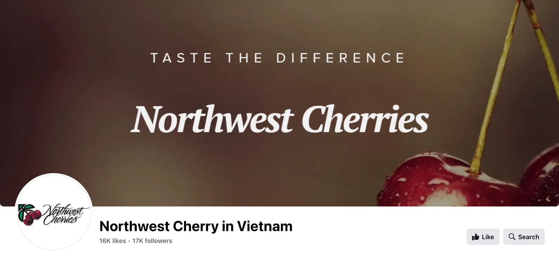 Northwest Cherry in Vietnam